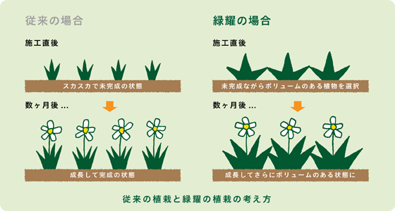 従来の植栽と緑耀の植栽の考え方